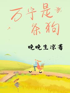 万宁叔